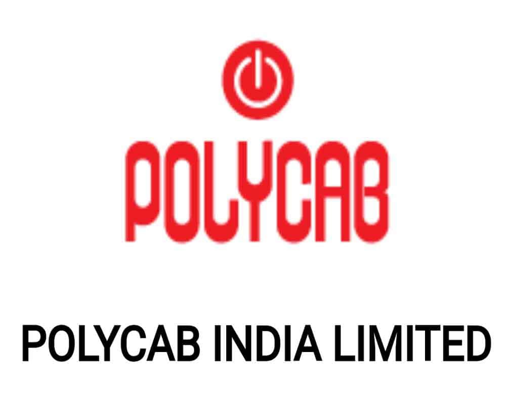 Polycab Shares Plunge 21%, Wiping Out Rs 15,500 Crore in Investor Wealth: FPIs Hit Hard Amid Income Tax Raid Fallout