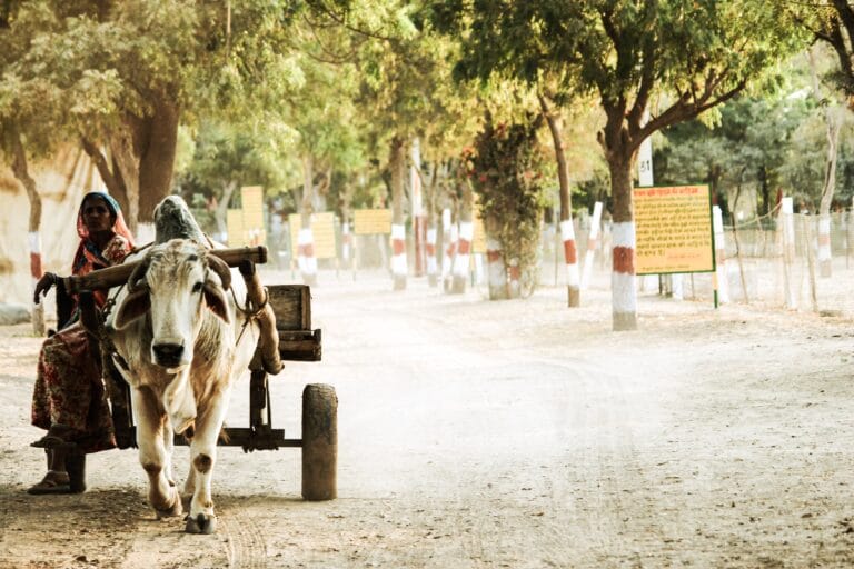 NielsenIQ Reveals Deceleration in Indian Consumer Goods Growth: Rural Resilience Amidst Urban Slowdown