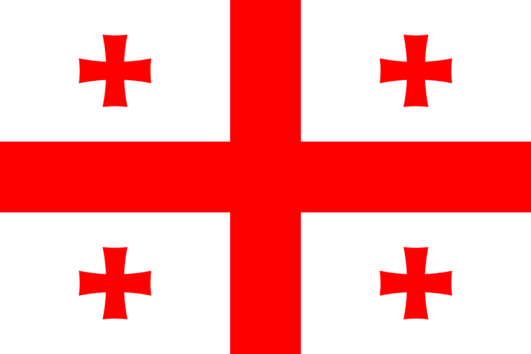 Georgia passes a contentious law on 'foreign influence': TV