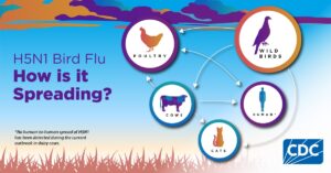 U.S. Officials Provide Updates on Bird Flu in Colorado: Risk Assessment, Vaccine Status, and Response Efforts