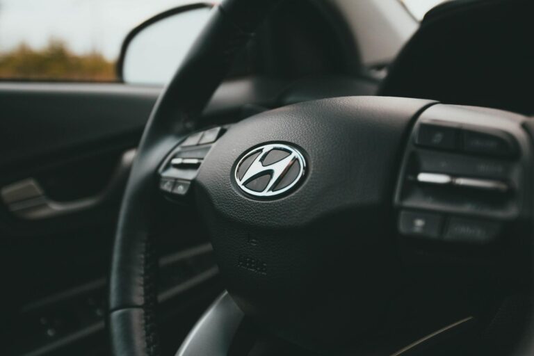 Hyundai Motor India IPO: Everything You Need to Know Before Investing in the Country’s Biggest IPO Hyundai Motor India IPO: Everything You Need to Know Before Investing in the Country’s Biggest IPO