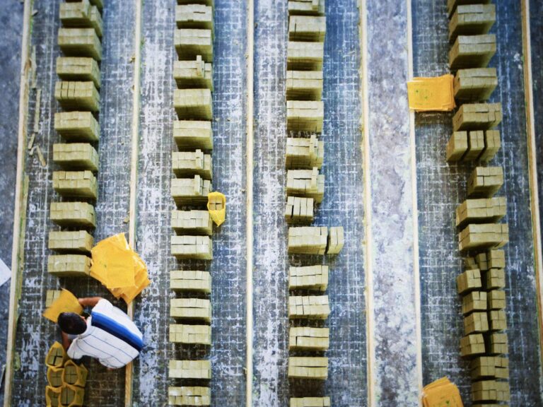 India's Private Sector Sees Strong Growth in December, Boosted by Services and Manufacturing