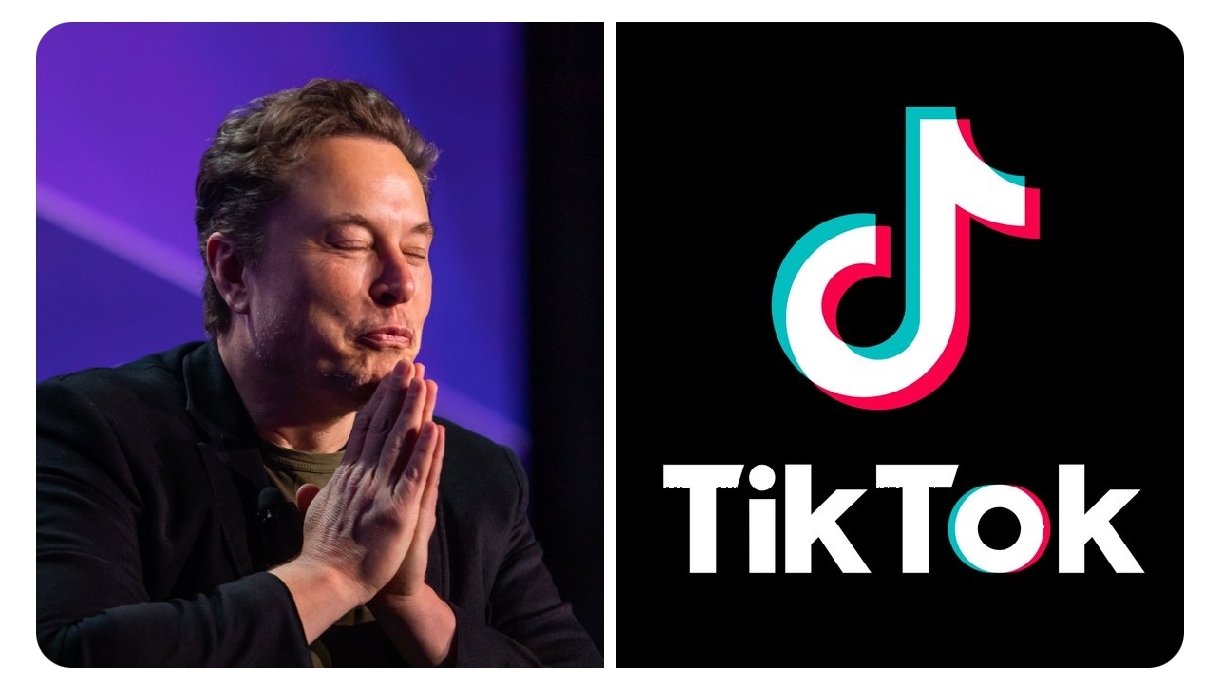 Elon Musk and the TikTok Acquisition Speculation: What You Need to Know