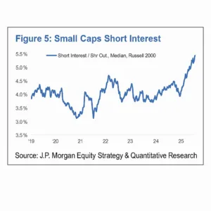 Small Caps Short Interest Hits 5-Year High: J.P. Morgan Report