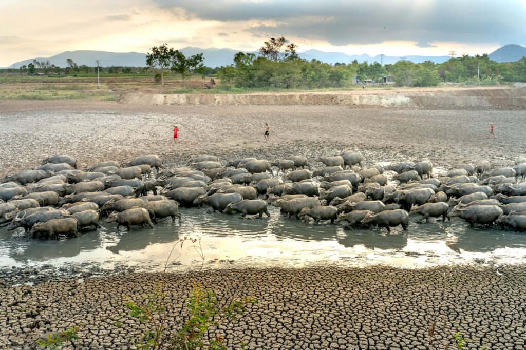 WMO Warns El Niño Could Intensify Further; IMD Sees India Facing Driest Monsoon in a Decade