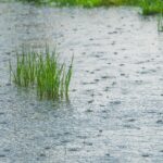 India Records 21% Rainfall Deficit as Monsoon Lags, Govt Rules Out Crop Impact India Records 21% Rainfall Deficit as Monsoon Lags, Govt Rules Out Crop Impact