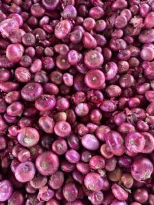 India Hikes Onion Procurement Price 13% to Rs 2,125/Quintal