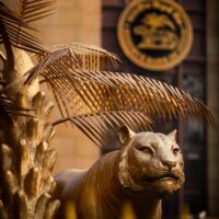 RBI Weekly Statistical Supplement: 5 Key Numbers From RBI Data RBI Weekly Statistical Supplement: 5 Key Numbers From RBI Data