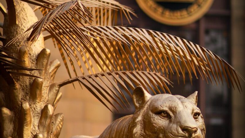 RBI Weekly Statistical Supplement: 5 Key Numbers From RBI Data RBI Weekly Statistical Supplement: 5 Key Numbers From RBI Data