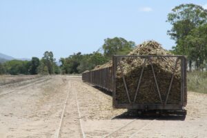 Government Stays Committed to Ethanol Blending Target Despite Temporary Ban on Sugarcane Juice